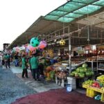 Fujairah Private day trip from Dubai with Lunch - Authentic Experiences and Review Highlights