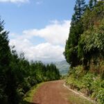 Full-Day 4x4 Nordeste Azores Tour from Ponta Delgada - What’s Included and What to Keep in Mind