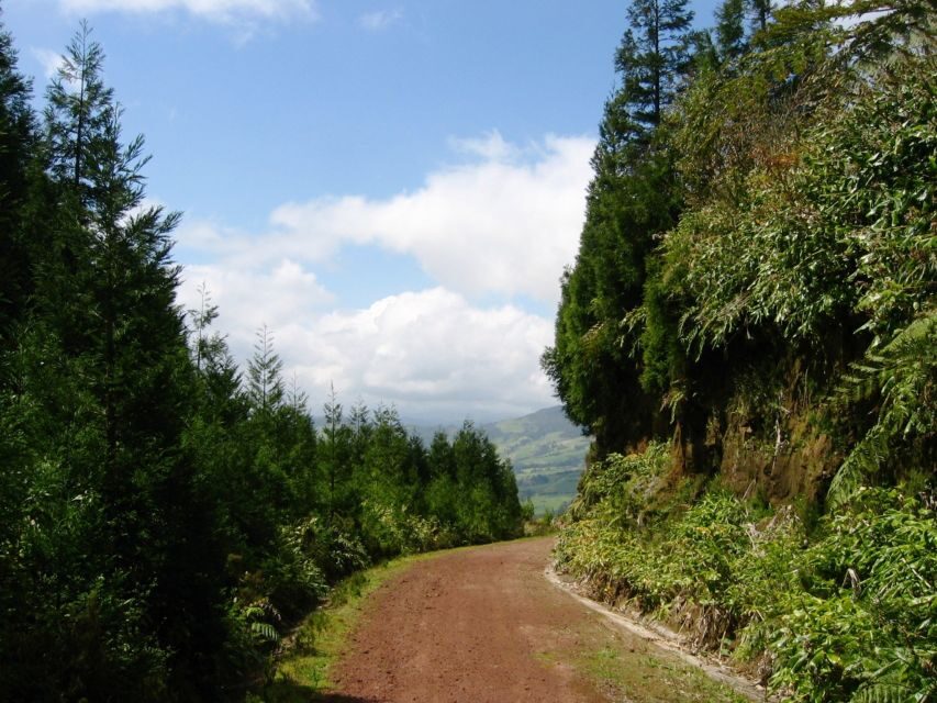Full-Day 4x4 Nordeste Azores Tour from Ponta Delgada - What’s Included and What to Keep in Mind