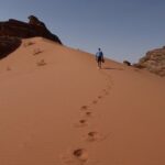 Full-Day 8 Hour Jeep Tour into Wadi Rum Protected Area with Stay - The Itinerary in Detail