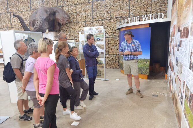 Full-Day Addo Elephant Park & Giraffe Walk - FAQs