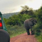 Full Day Akagera National Park Game Drive and Boat Safari - Authenticity and Value