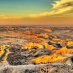 Full Day Al Ain tour with Lunch from Dubai - Final Thoughts: Who Should Consider This Tour?