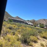 Full day Aquila Game Reserve Big 5 Safari with Wine Tasting Tour - What Makes This Tour Stand Out?