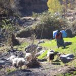 Full-Day Atlas Mountains & Imlil Valley Adventure from Marrakech - Authentic Experiences and Cultural Insights