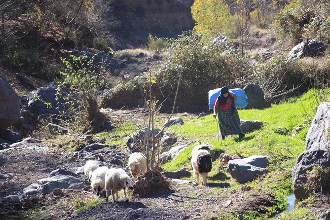 Full-Day Atlas Mountains & Imlil Valley Adventure from Marrakech - Authentic Experiences and Cultural Insights