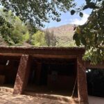 Full Day Atlas Mountains Private Day Tour From Marrakech - The Itinerary in Detail: What to Expect