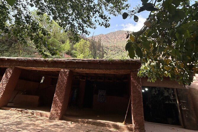 Full Day Atlas Mountains Private Day Tour From Marrakech - The Itinerary in Detail: What to Expect