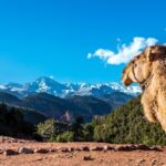 Full Day Berber Villages and Atlas Mountains 4x4 Adventure - What To Expect from the Experience