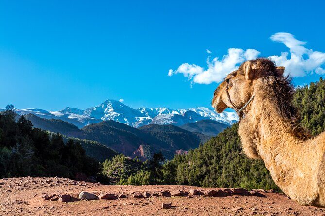 Full Day Berber Villages and Atlas Mountains 4x4 Adventure - What To Expect from the Experience