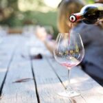 Full-Day Best of the Cape, Peninsula, Cape Point and Stellenbosch Tour - Transportation and Group Experience