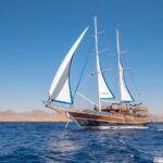 Full Day Boat Charter Rental in Sharm El Sheikh - What to Expect on Your Day