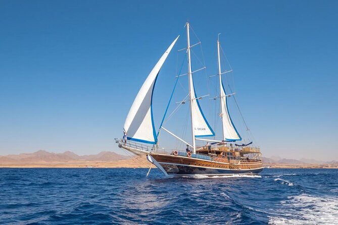 Full Day Boat Charter Rental in Sharm El Sheikh - What to Expect on Your Day