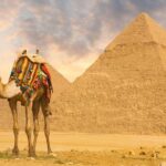 Full Day Cairo Excursion - Practical Details and What to Expect