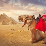 Full Day Cairo Guided Tour Pyramids and Museum, Lunch - Hurghada - Practical Tips and Insights