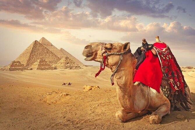 Full Day Cairo Guided Tour Pyramids and Museum, Lunch - Hurghada - Practical Tips and Insights