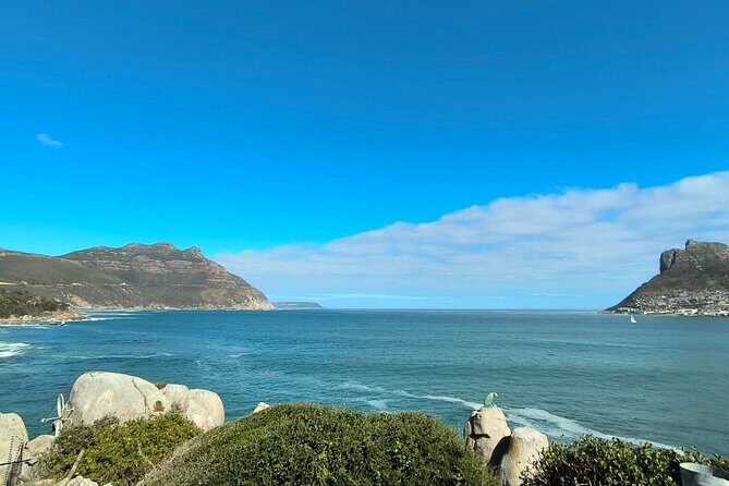 Full Day Cape of Good Hope and Boulders Beach Penguins Tour - Who Should Book This Tour?