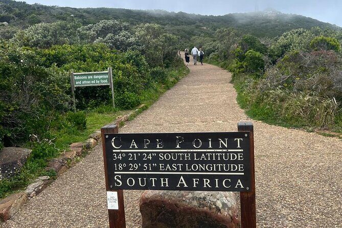 Full-Day Cape of Good Hope and Table Mountain with Penguins Tour - Who Should Consider This Tour?