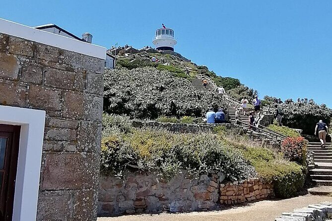 Full Day Cape Peninsula, Cape Point Tour - How This Tour Offers Value
