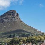 Full Day Cape Peninsula tour in private car - What Makes This Tour Stand Out?