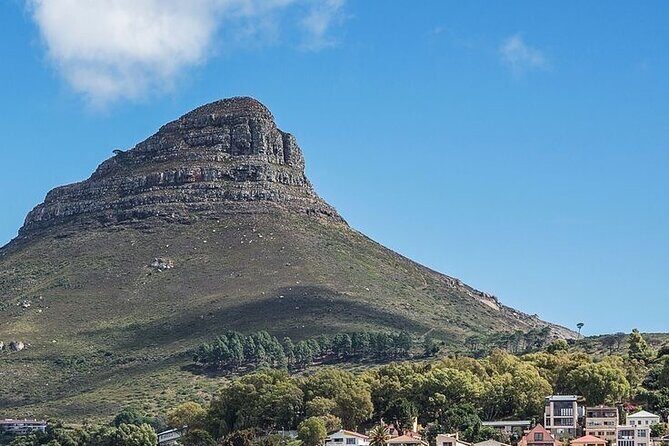 Full Day Cape Peninsula tour in private car - What Makes This Tour Stand Out?
