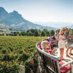 Full-Day Cape Town Private Transfers and Chauffeur Services - Value for Money
