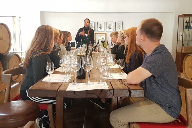 Full day Cape Winelands ( Stellenbosch and Franschoek ) - Who Will Love This Tour?