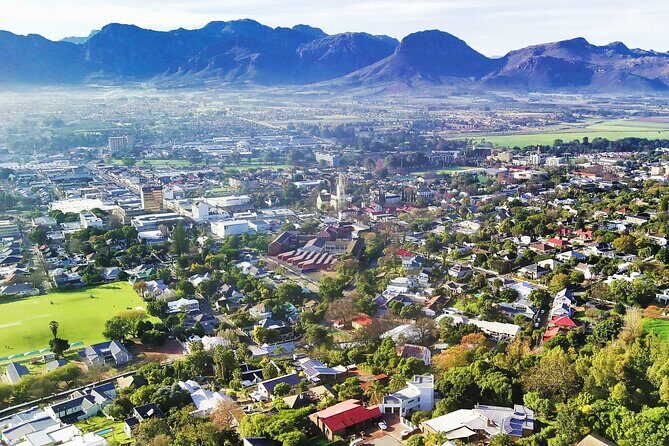 Full-Day Cape Winelands Tour - What Makes This Tour Stand Out?