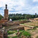 Full-Day Casablanca and Rabat Private Guided Tour - The Experience of Private Transport and Guides