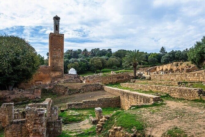 Full-Day Casablanca and Rabat Private Guided Tour - The Experience of Private Transport and Guides