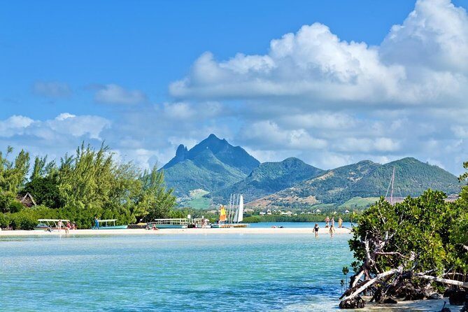 Full-Day Catamaran Cruise to Île aux Cerfs with BBQ Lunch - Key Points