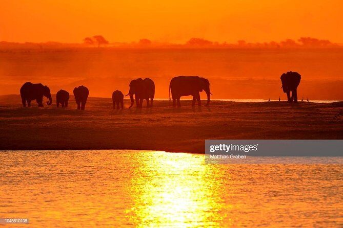 Full Day Chobe National Park Big 5 Safari - Practicalities and Tips