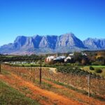 Full-Day Chocolate, Cheese, Olive and Wine Tour from Stellenbosch - An In-Depth Look at the Tour Experience