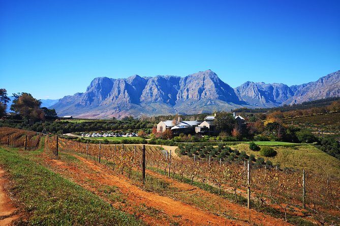 Full-Day Chocolate, Cheese, Olive and Wine Tour from Stellenbosch - An In-Depth Look at the Tour Experience