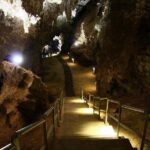 Full-Day Cradle of Humankind Guided Tour from Johannesburg or Pretoria - What’s Included and What to Expect