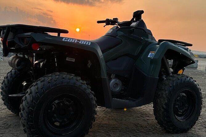Full Day Desert Safari Doha/dinner included - Transportation and Group Size