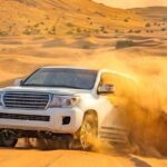 Full Day Desert Safari Experience with BBQ Dinner in Lahbab Dubai - The Experience Breakdown