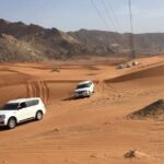 Full-Day Desert Safari Jeep Tour in Ash Sharqiyah Governorate - The Experience in Practice: What Youll Love