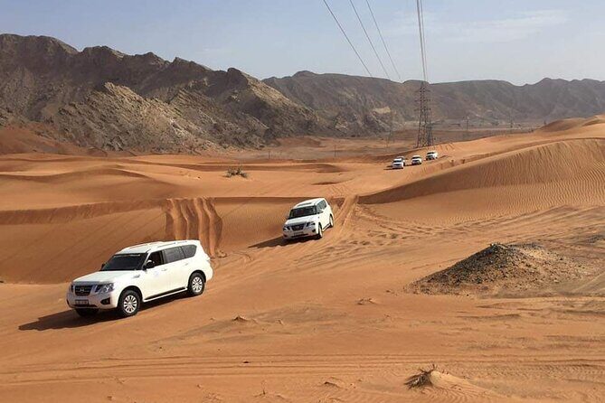 Full-Day Desert Safari Jeep Tour in Ash Sharqiyah Governorate - The Experience in Practice: What Youll Love