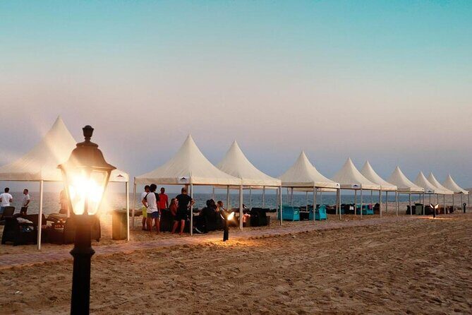Full Day Desert Safari with Camp Access, Buffet Dinner,Camel Ride - Potential Considerations