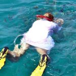 Full Day Dhow Cruise to Khor Sham with lunch & Snorkeling (Shore excursions) - What Reviewers Say: Authentic Feedback and Insights