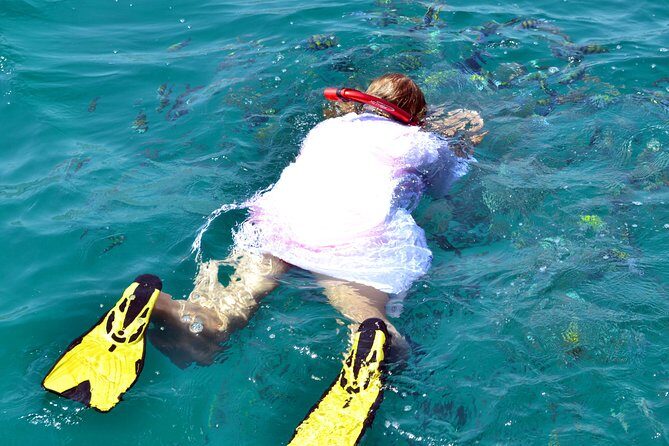 Full Day Dhow Cruise to Khor Sham with lunch & Snorkeling (Shore excursions) - What Reviewers Say: Authentic Feedback and Insights