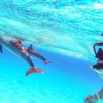 Full-Day Dolphin House from Hurghada - What Reviewers Say: Authentic Insights