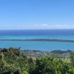 Full-Day Dolphin Watching Cruise in Mauritius - Final Thoughts