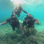 Full Day Dolphin Watching with Snorkeling in Wasini - Detailed Breakdown of the Itinerary