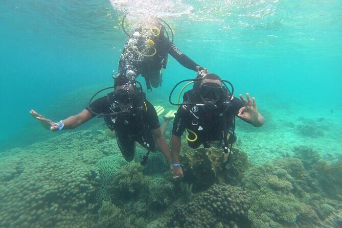 Full Day Dolphin Watching with Snorkeling in Wasini - Detailed Breakdown of the Itinerary