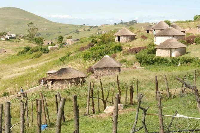 Full Day-Drakensberg-MandelaCaptureSite-HowickFalls-MidlandsMeander from Durban - What Travelers Say: Authentic Insights