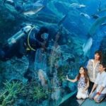 Full Day Dubai City Tour: Burj Khalifa & Underwater Zoo Ticket - Real Experiences from Travelers