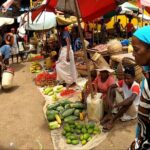 Full-Day Exclusive Private Tour in Nosy Be with Luxury Lunch - Practical Considerations for Travelers