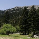 Full day excursion to Mount Lakraa | Highest in Talassemtane Park (2159m) - The Itinerary in Detail